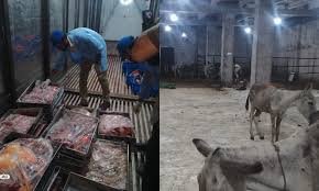 Donkey Meat Recovered