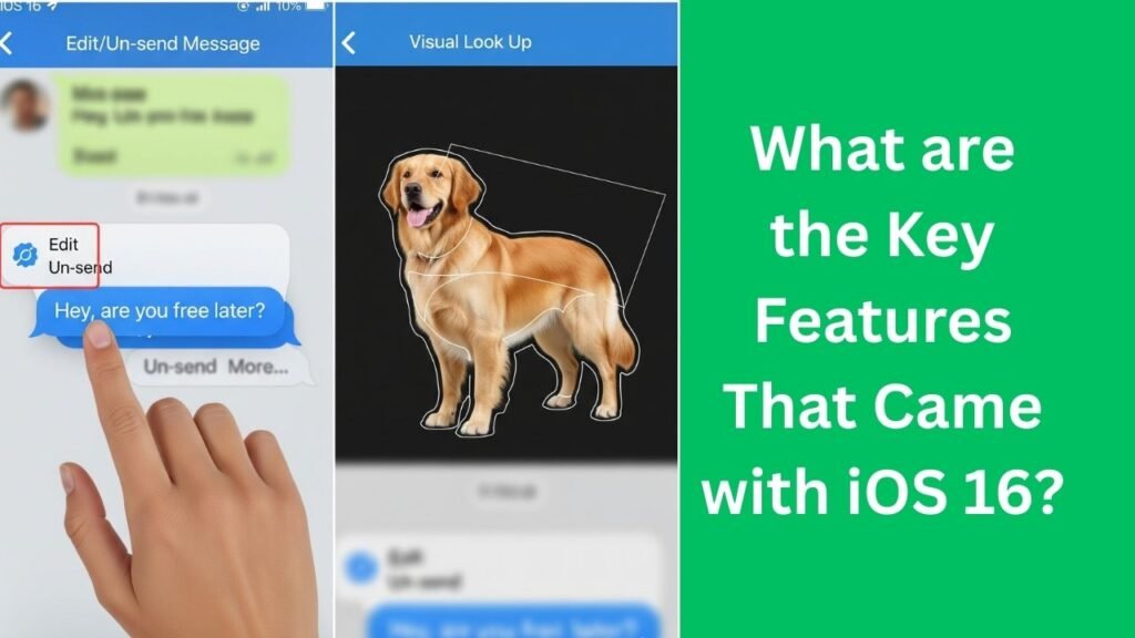 An illustration of key iOS 16 features, including the ability to edit or un-send iMessages and the Visual Look Up tool isolating a subject from a photograph.